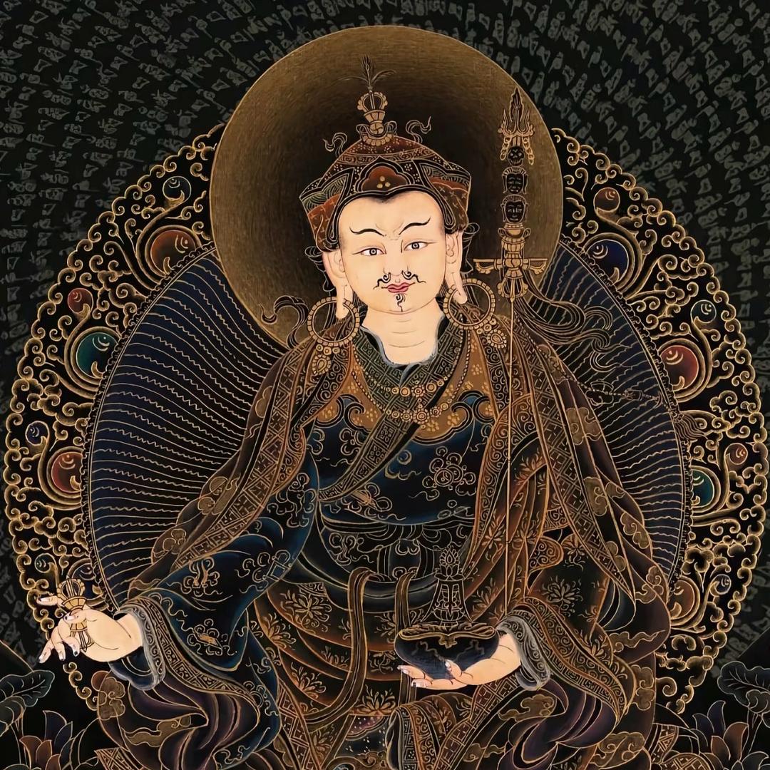 德多🌴