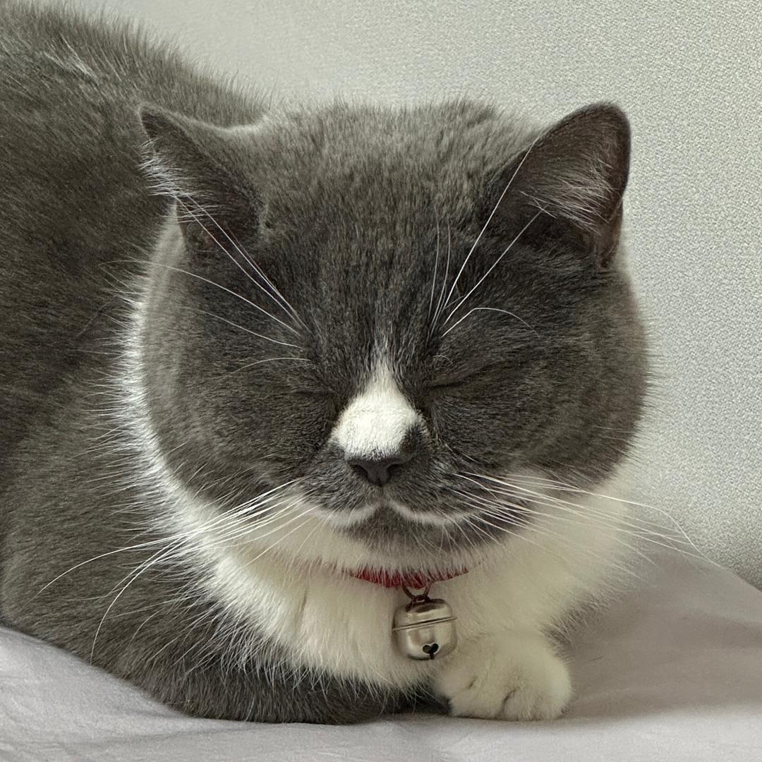 冰糖普洱茶