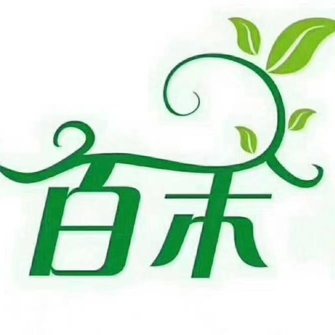 🏫百禾幼儿园✨