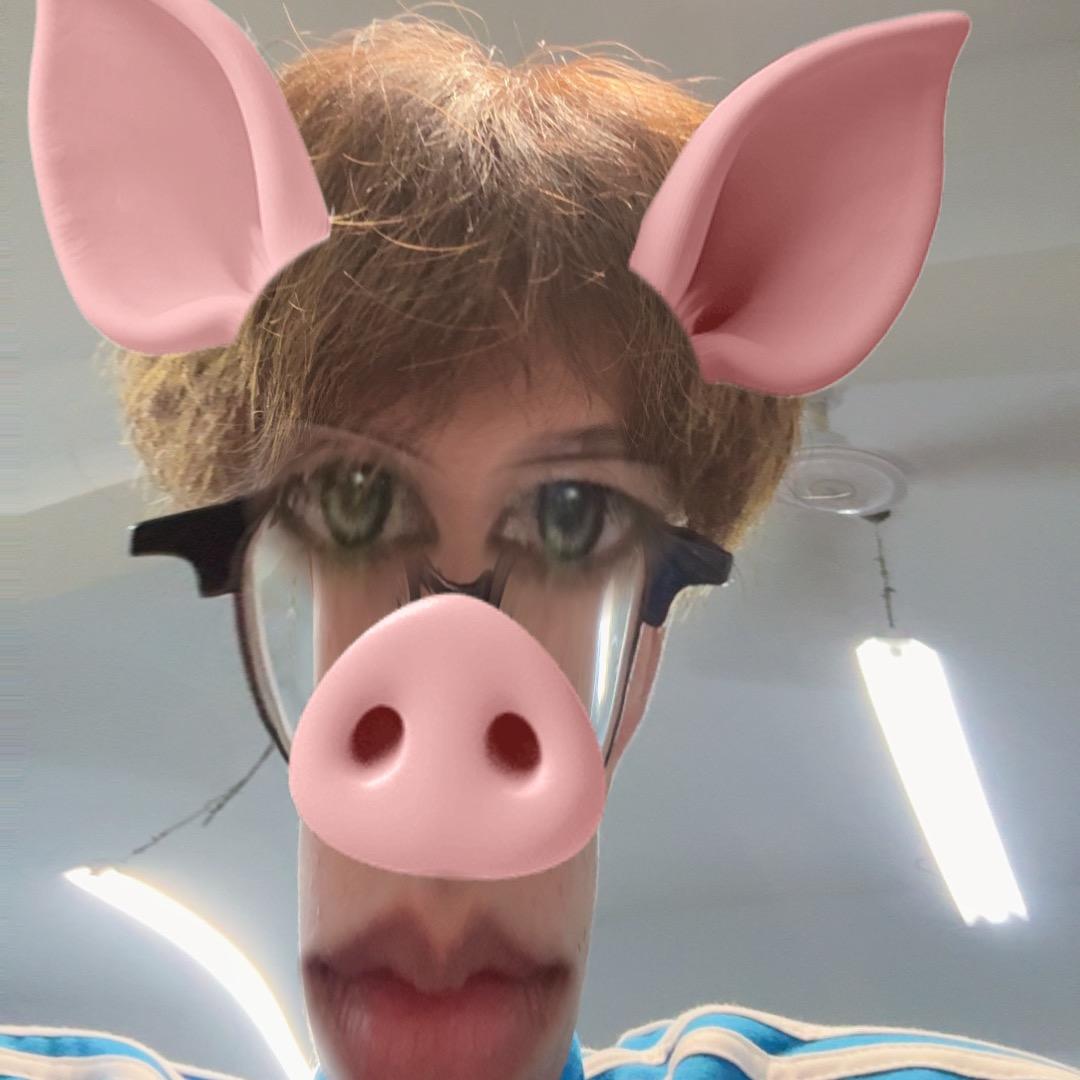 小猪哼唧