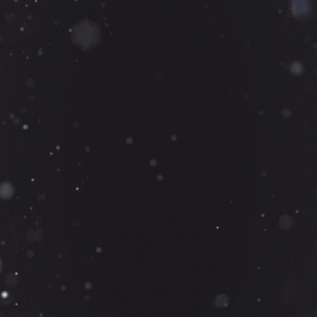 暮光闪闪