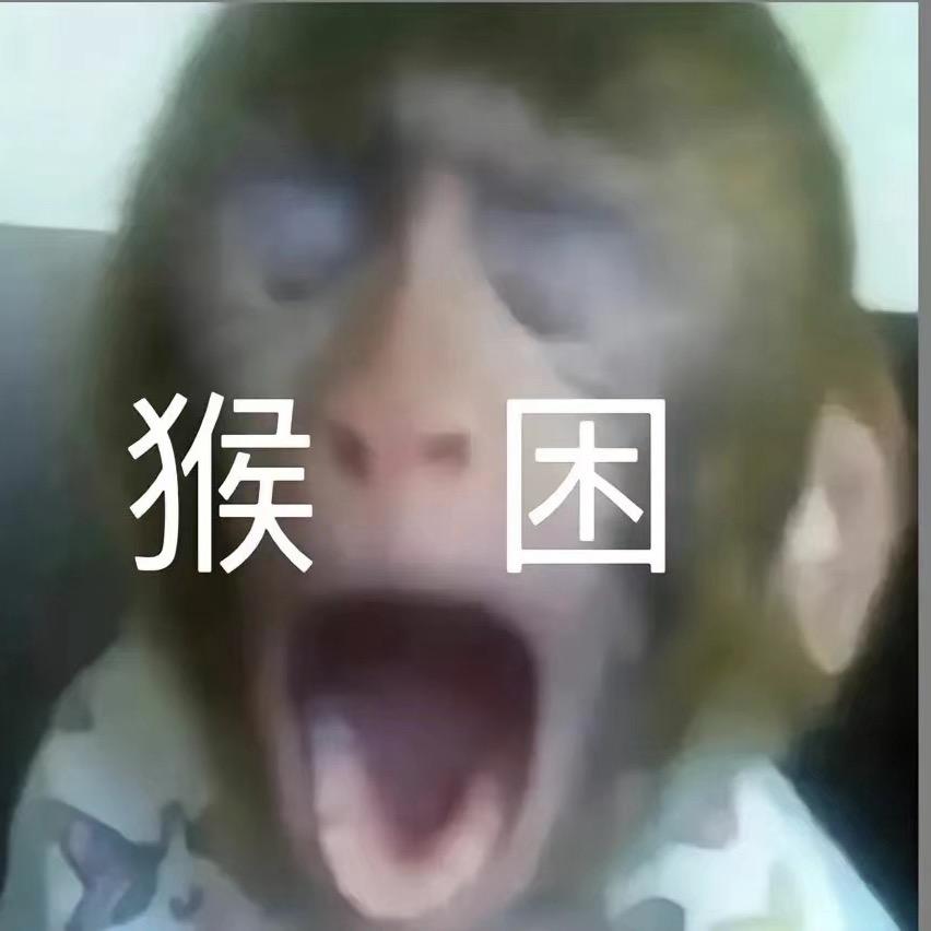 我爱睡觉
