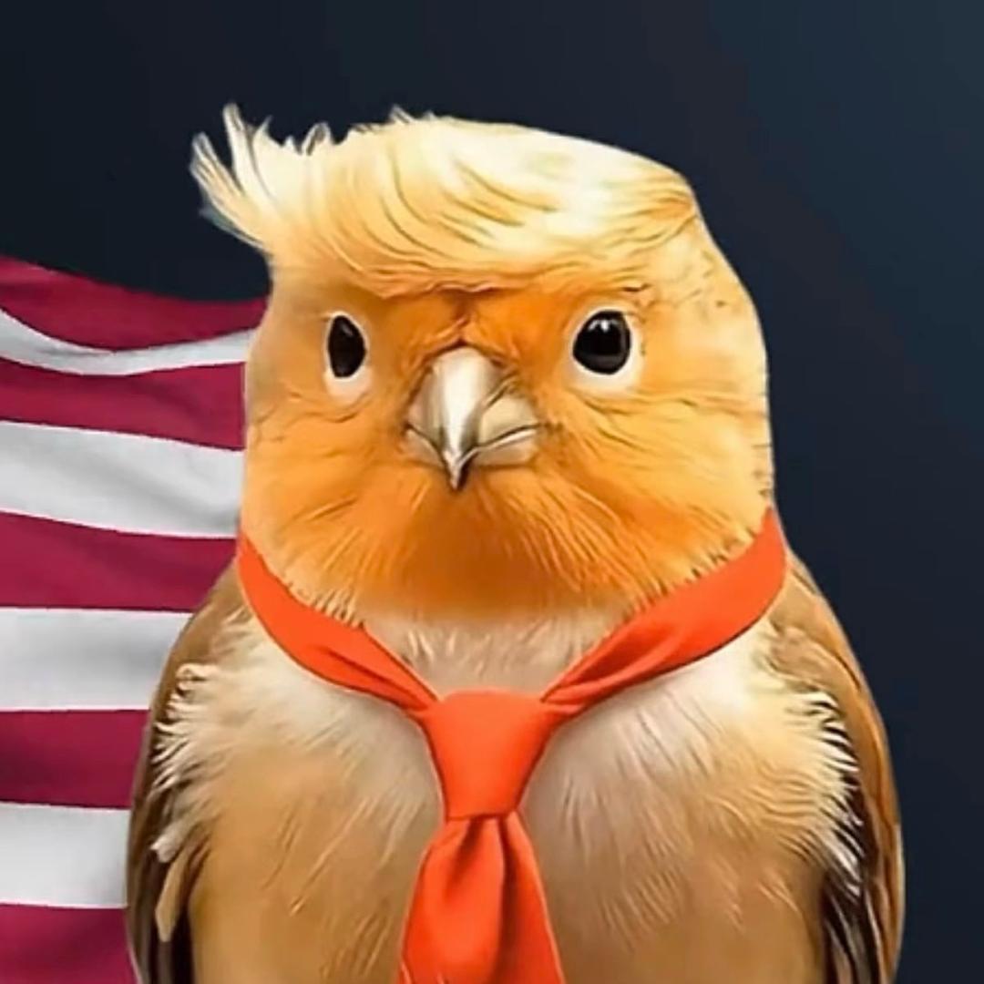 仁哥哥🕊️⁵²⁵⁷