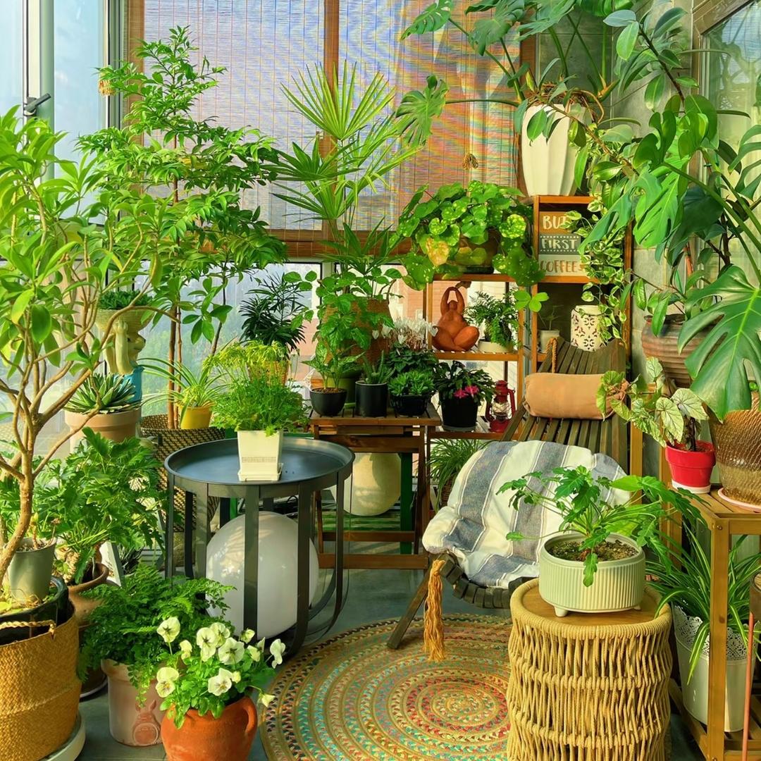 植绿森林