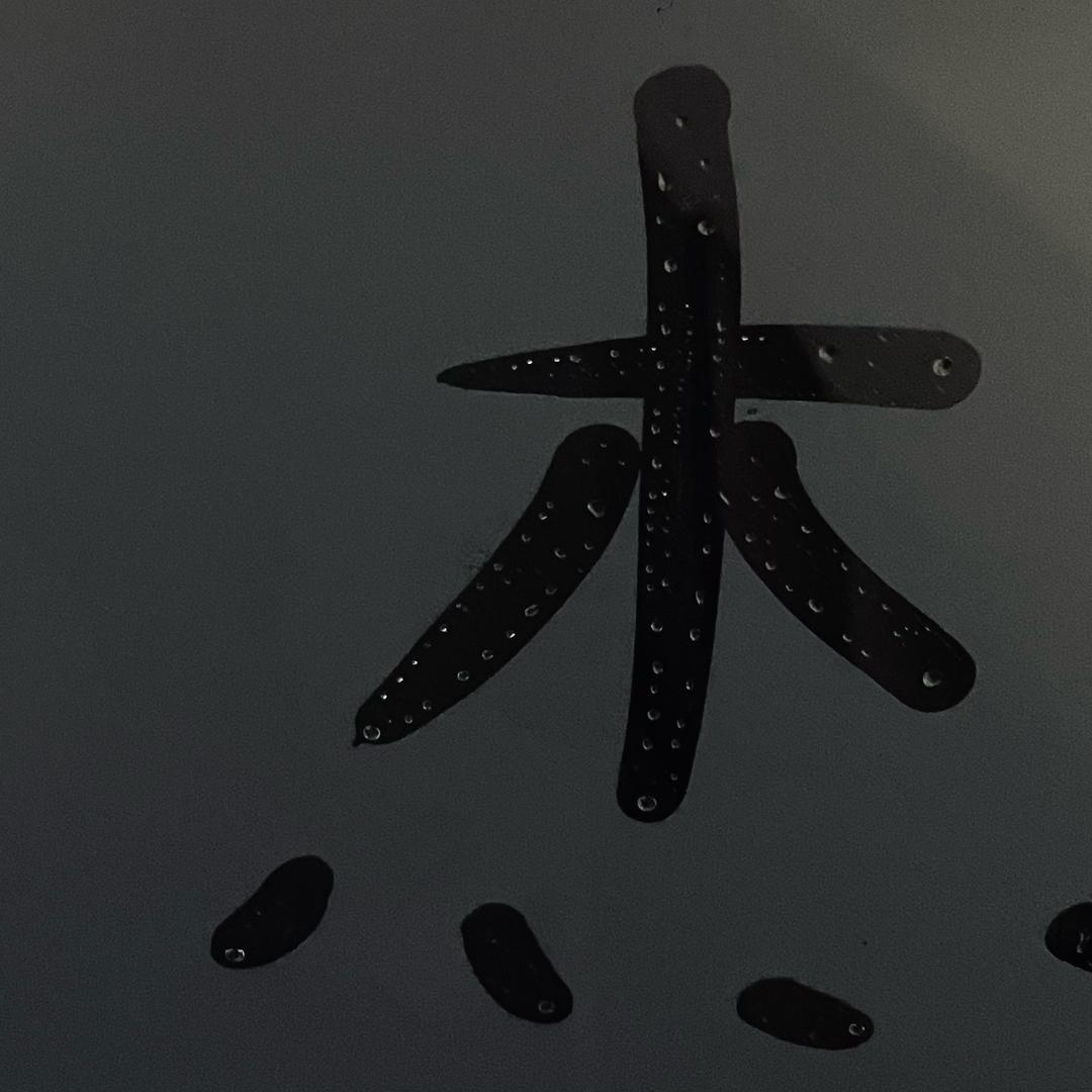 ༼རྡོ་རྗེ༣༠༡༥༽