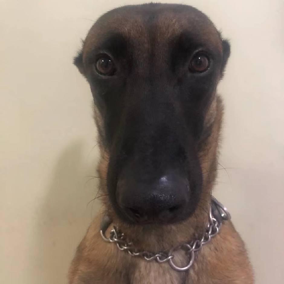 奥特曼不慢的呀