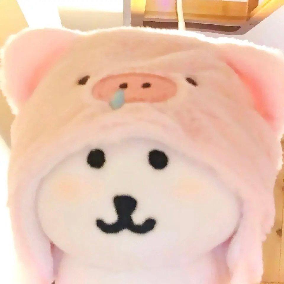 小猪七崽
