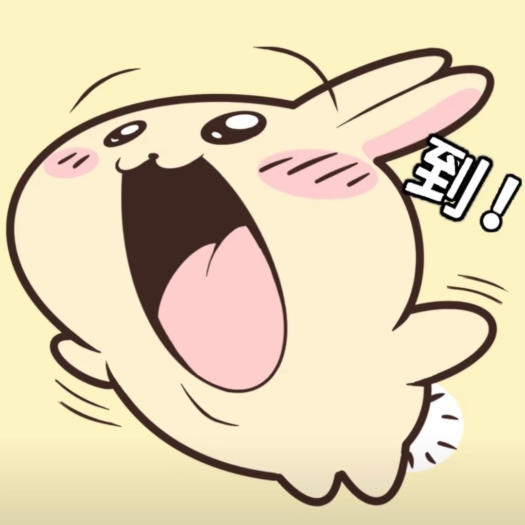 祎祎