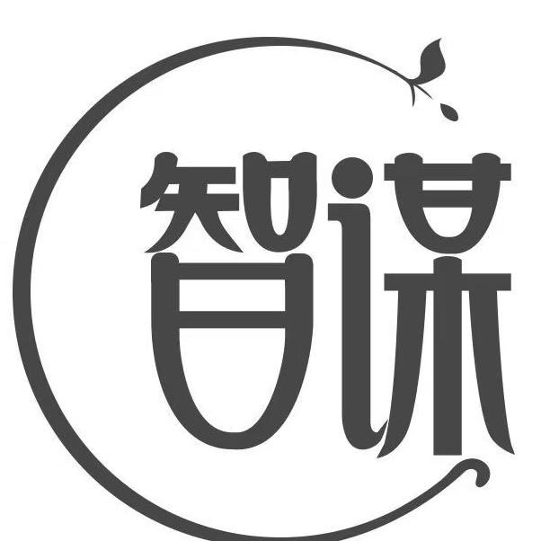 智谋人生
