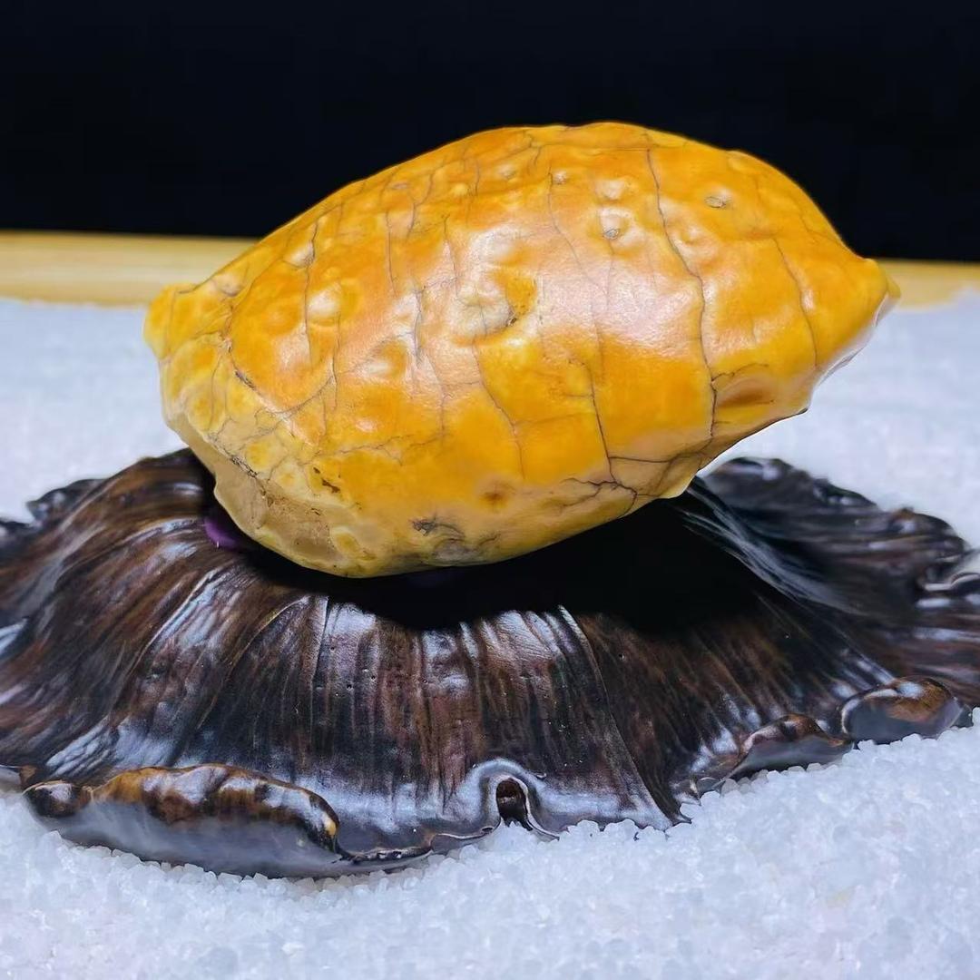 阿拉善二春奇石馆