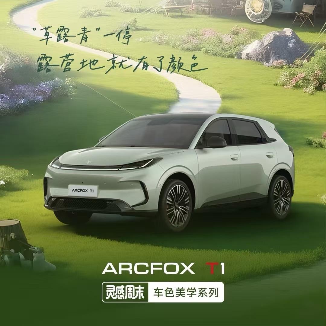 能胸口碎大石的极狐总经理