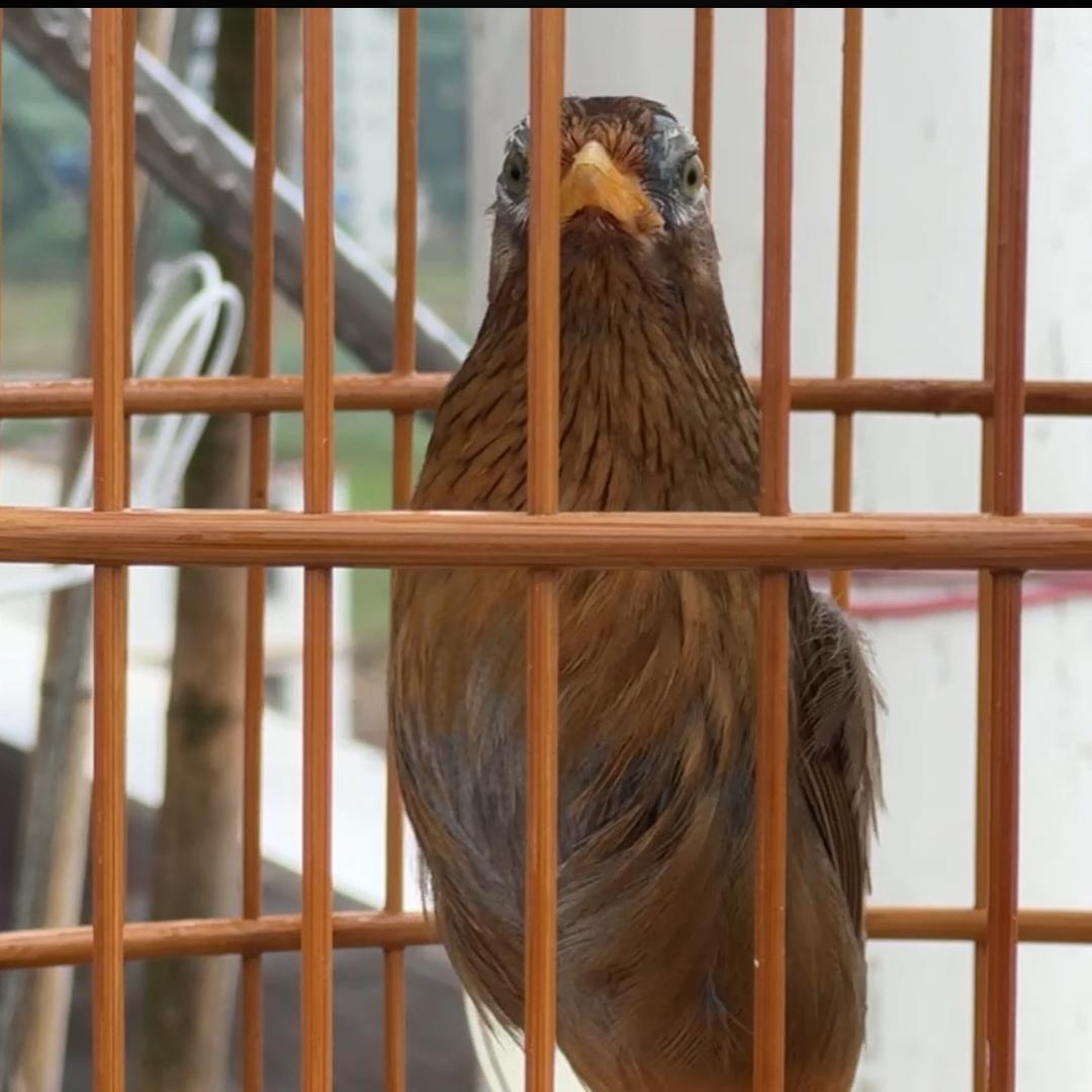 各种户外必备品