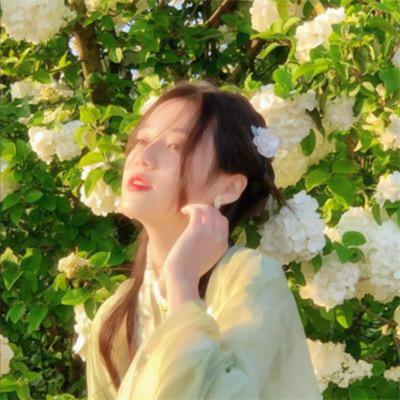 草莓好物CM8888883