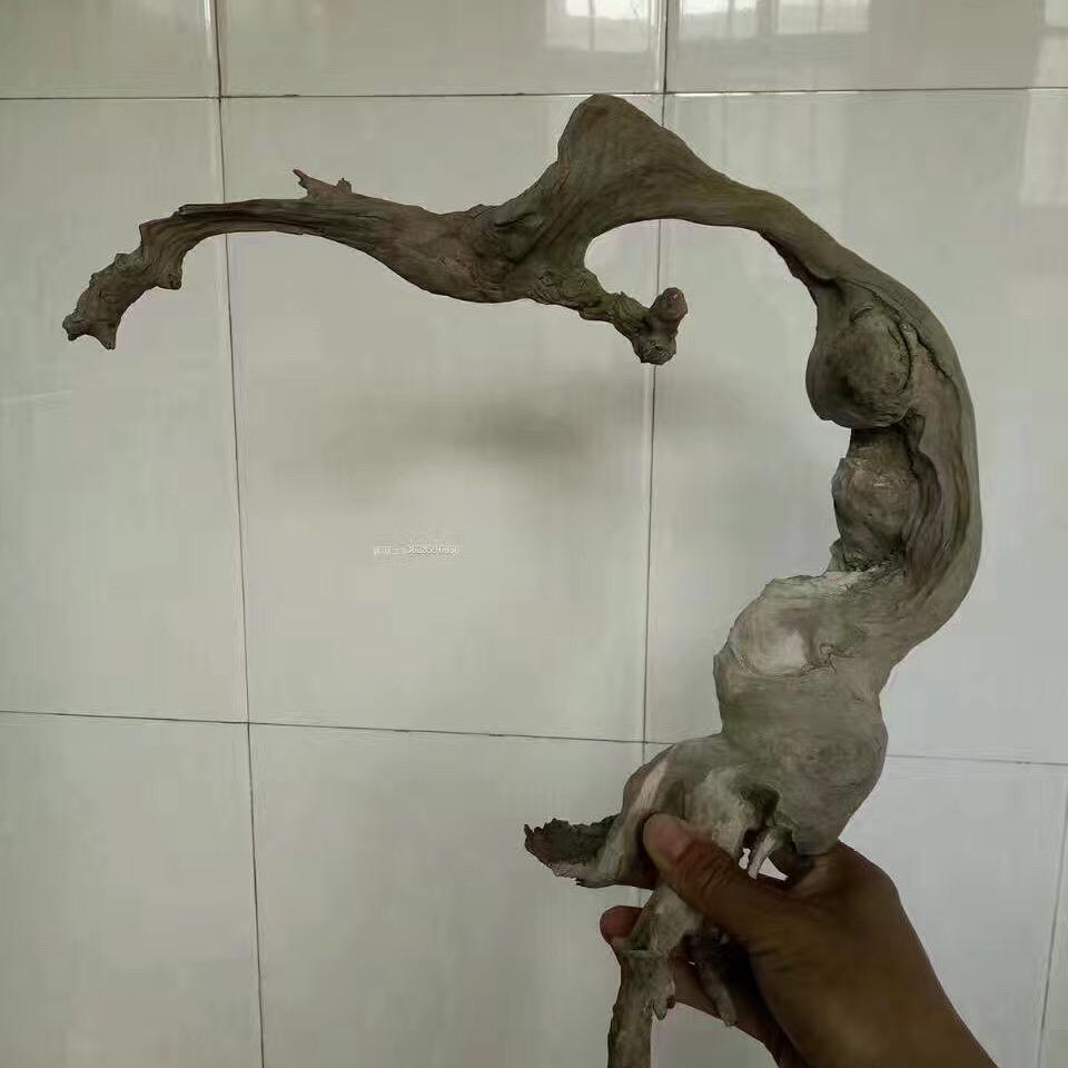 金色阳光