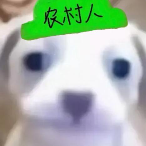 大野猪伯伯