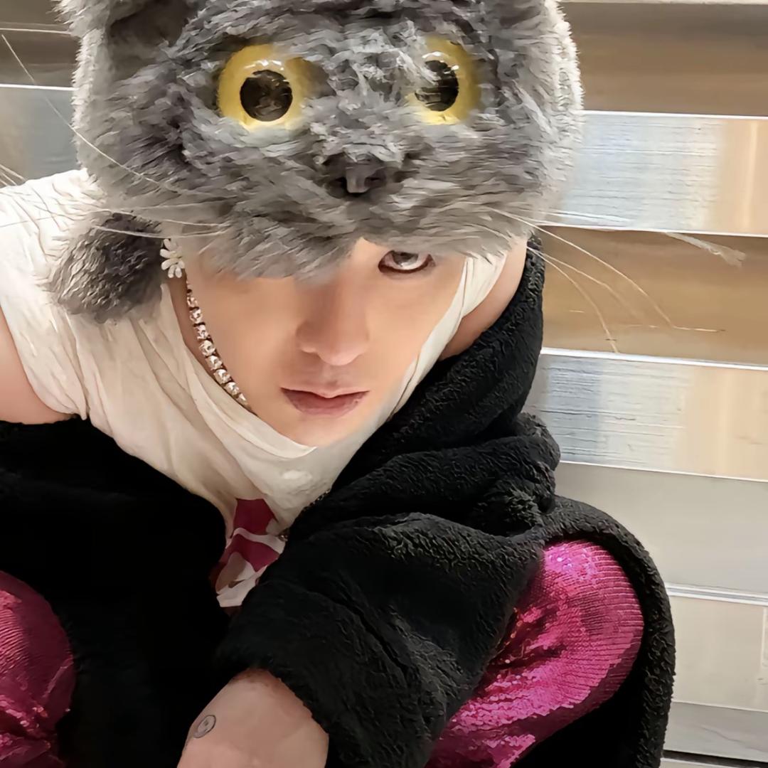 巴厘蟹老板（现货版）