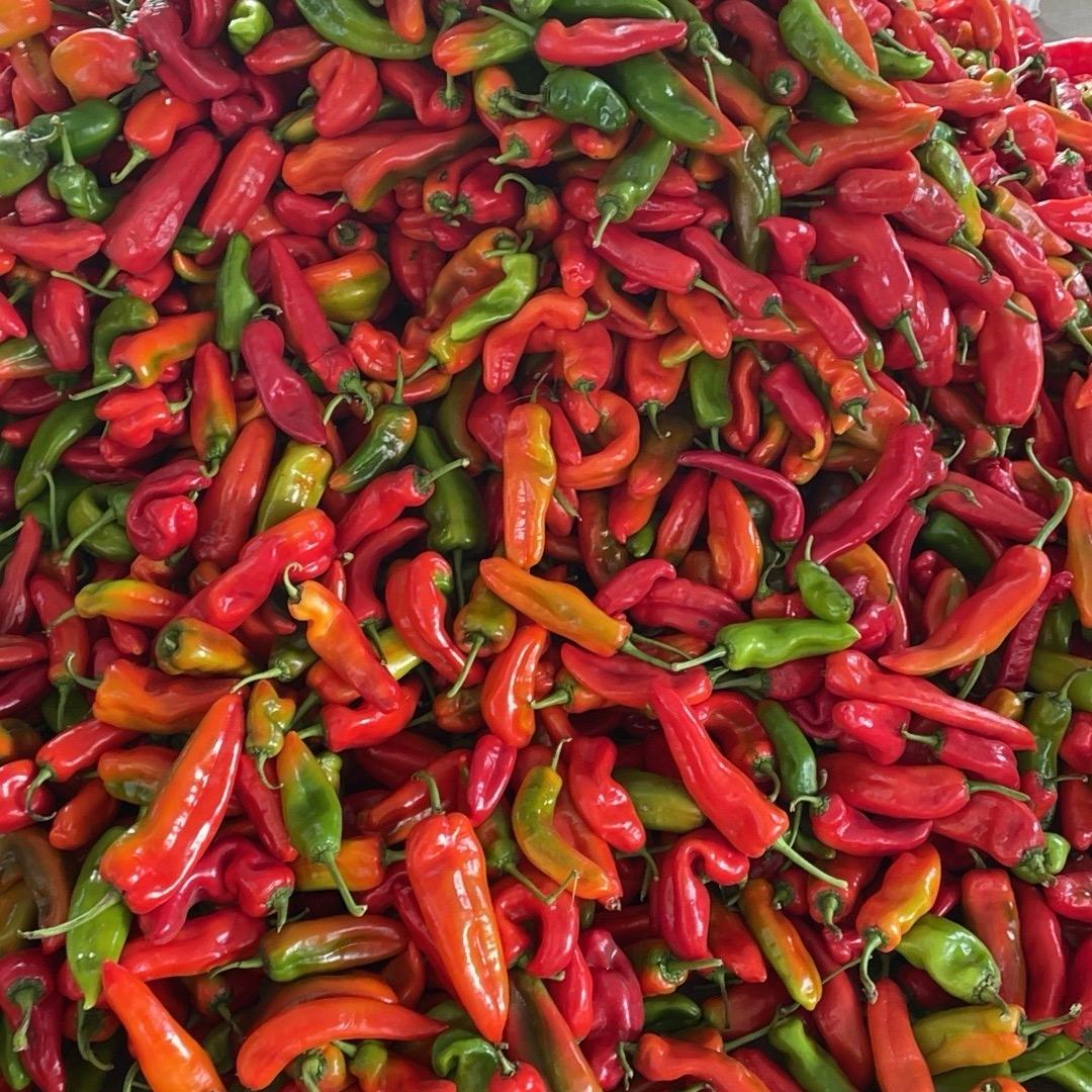 新农人👩‍🌾宴宴