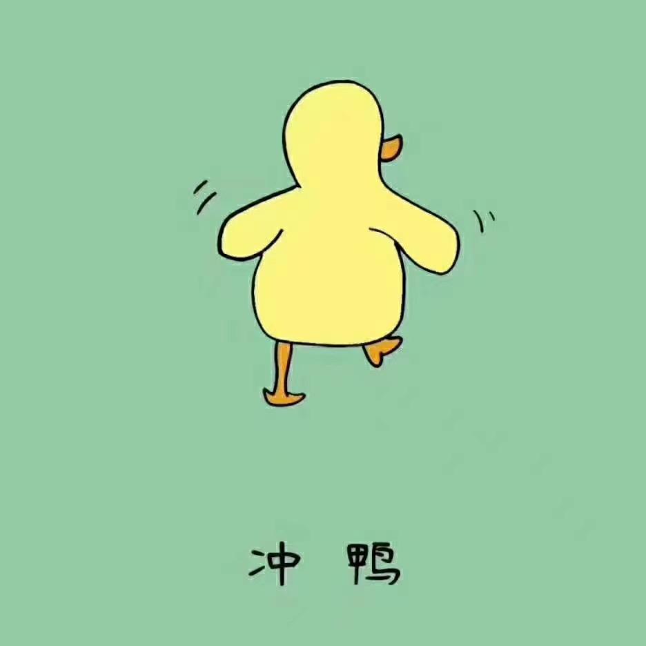 龙哥11
