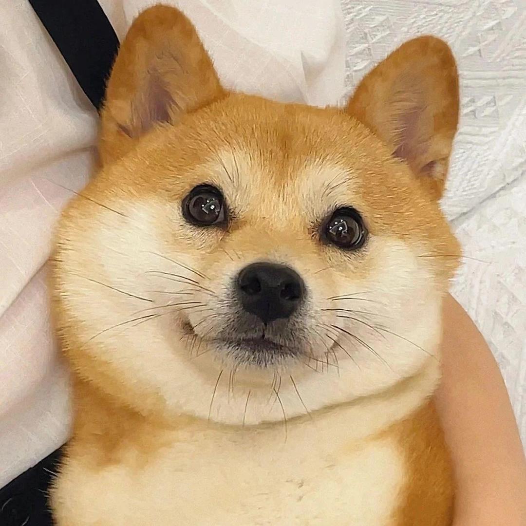 桐原