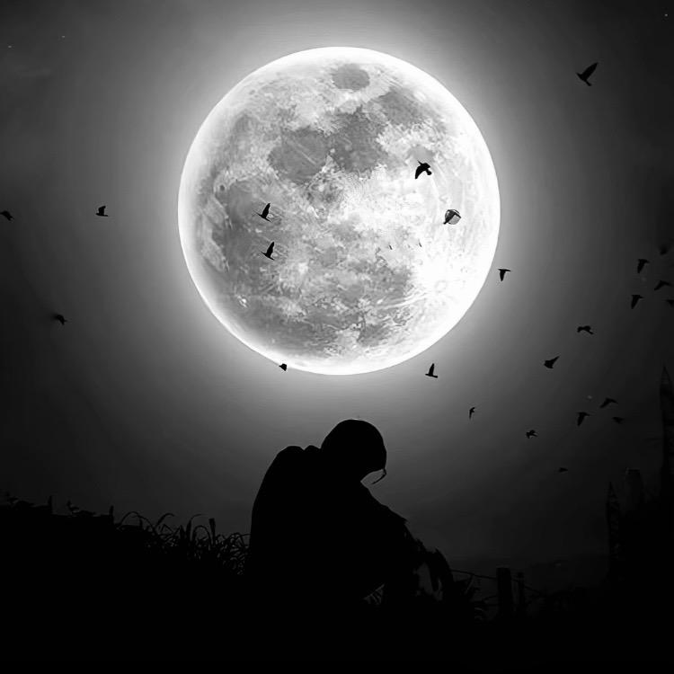 彩宏图文(新造店)白久运营号