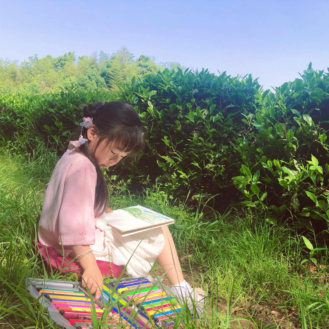 森林小龙女
