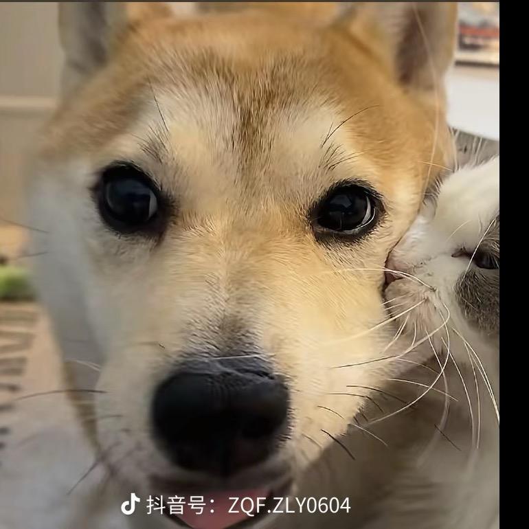 邓邓～