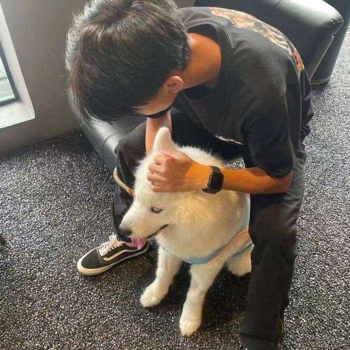 什么羊