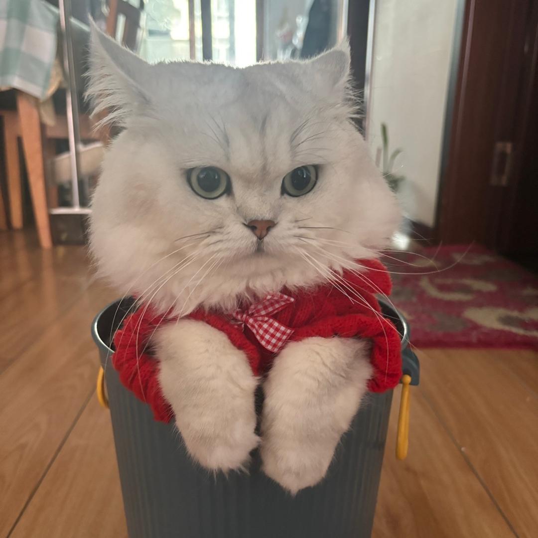 源
