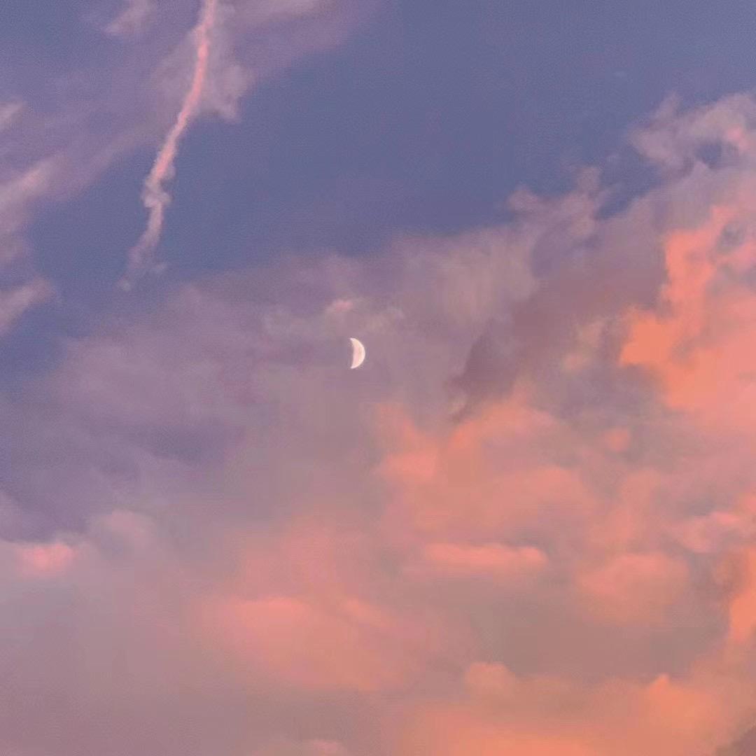 夏眠99
