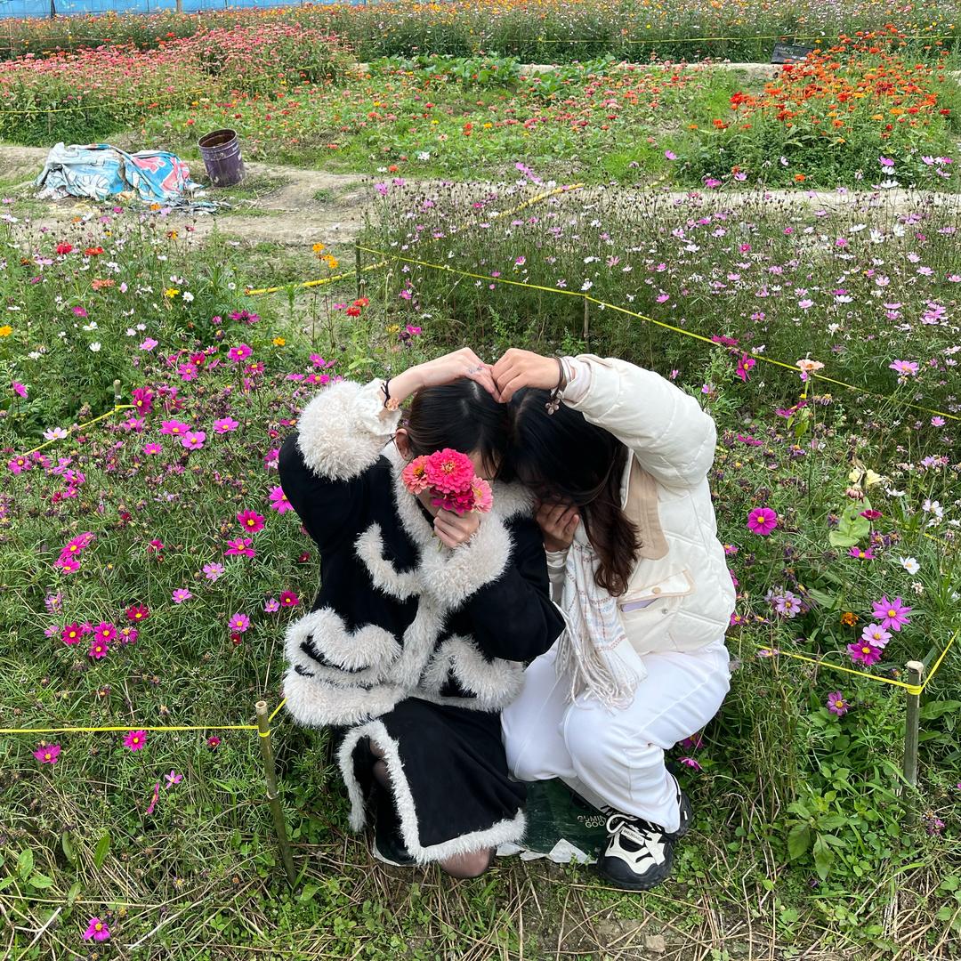 梨涡远点