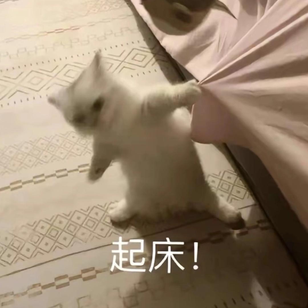睡了吗怎么还不睡!!!!!