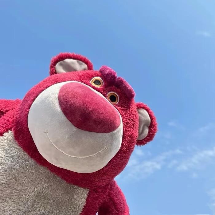 平潭草莓熊船长《启航团队出品》