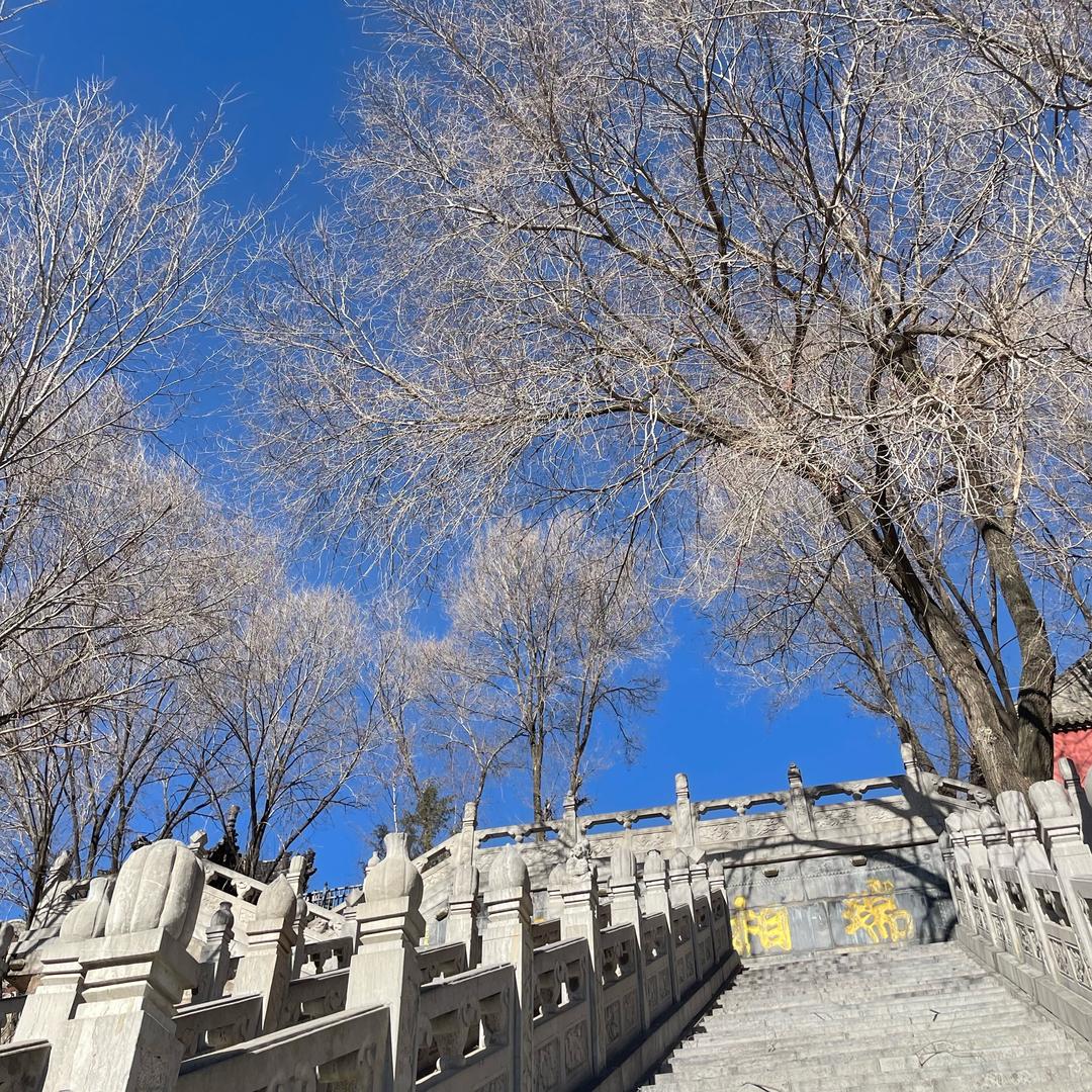 静心❤️❤️❤️