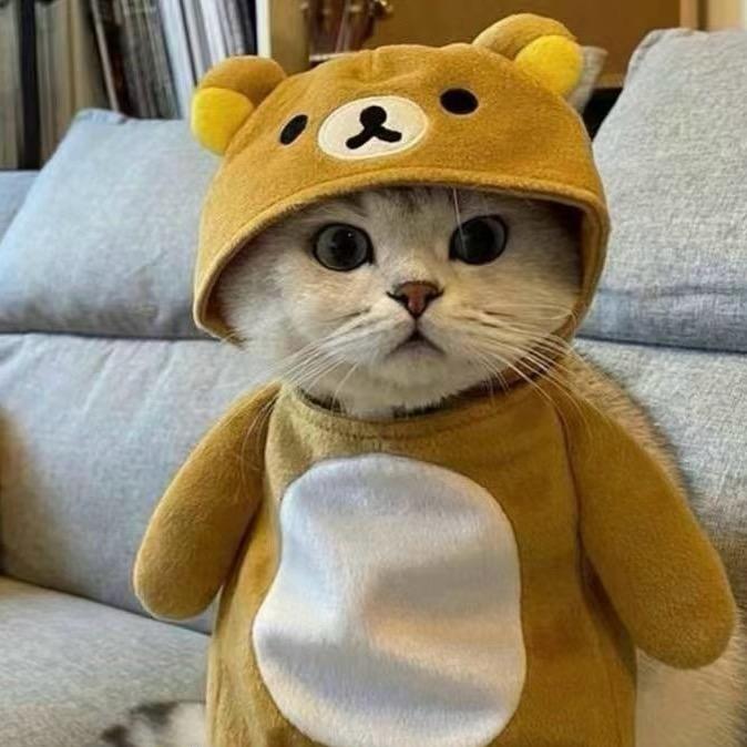 温妤鸭💞头像