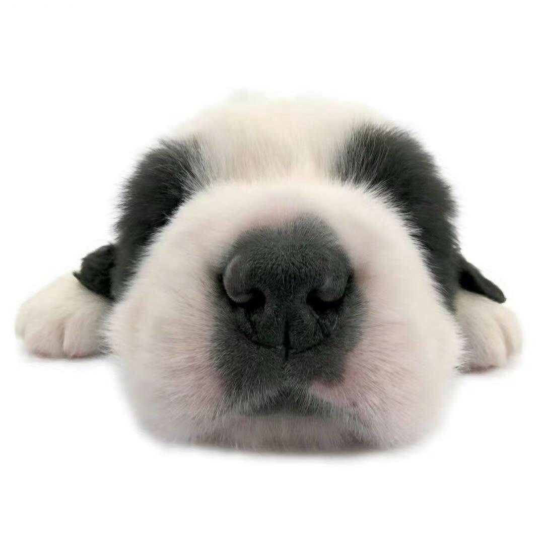 我的水杯没有盖