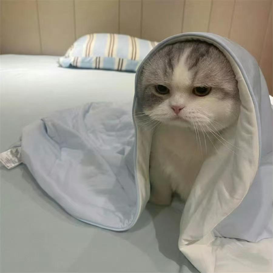lalal