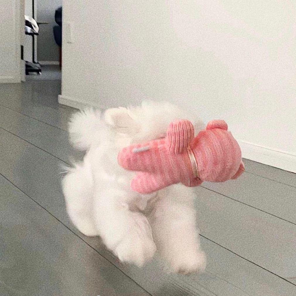 小伍.