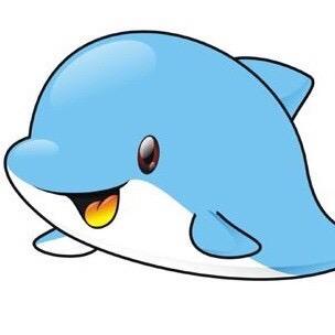 自习自律dolphin