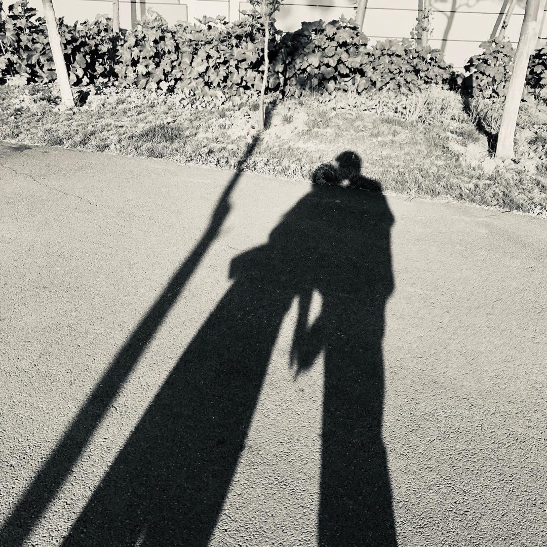 音尘叁一