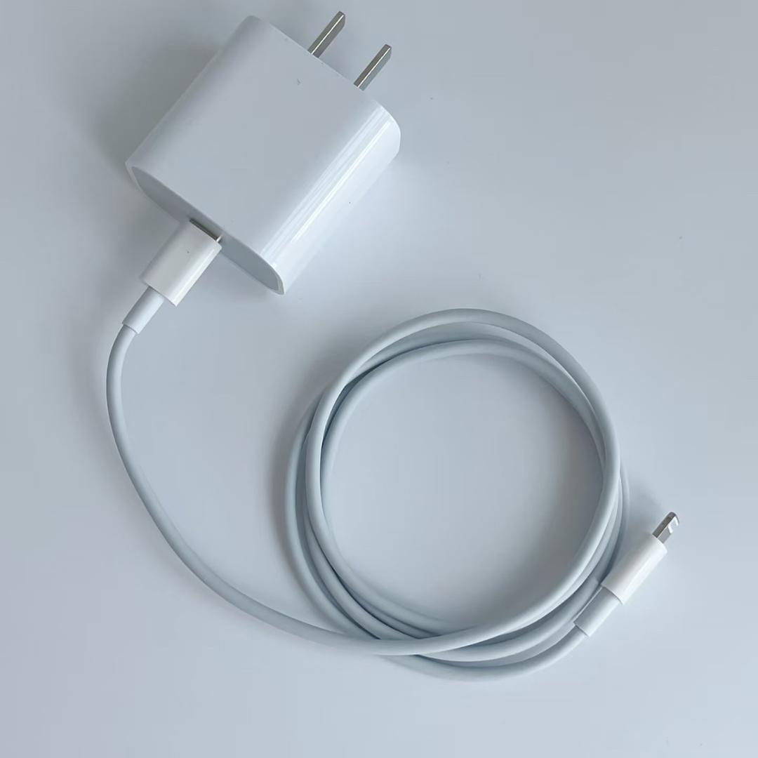 平静的灰色充电器6304