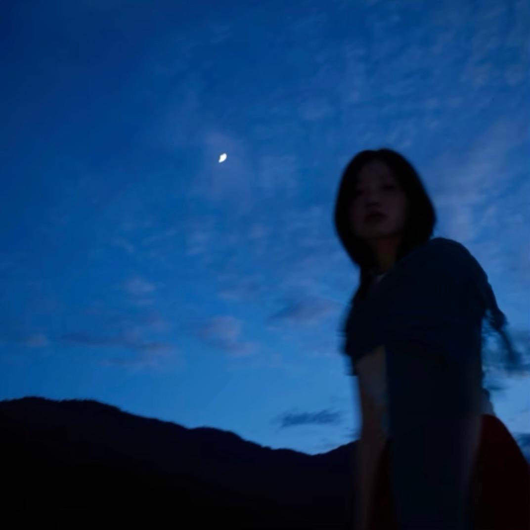 白枞