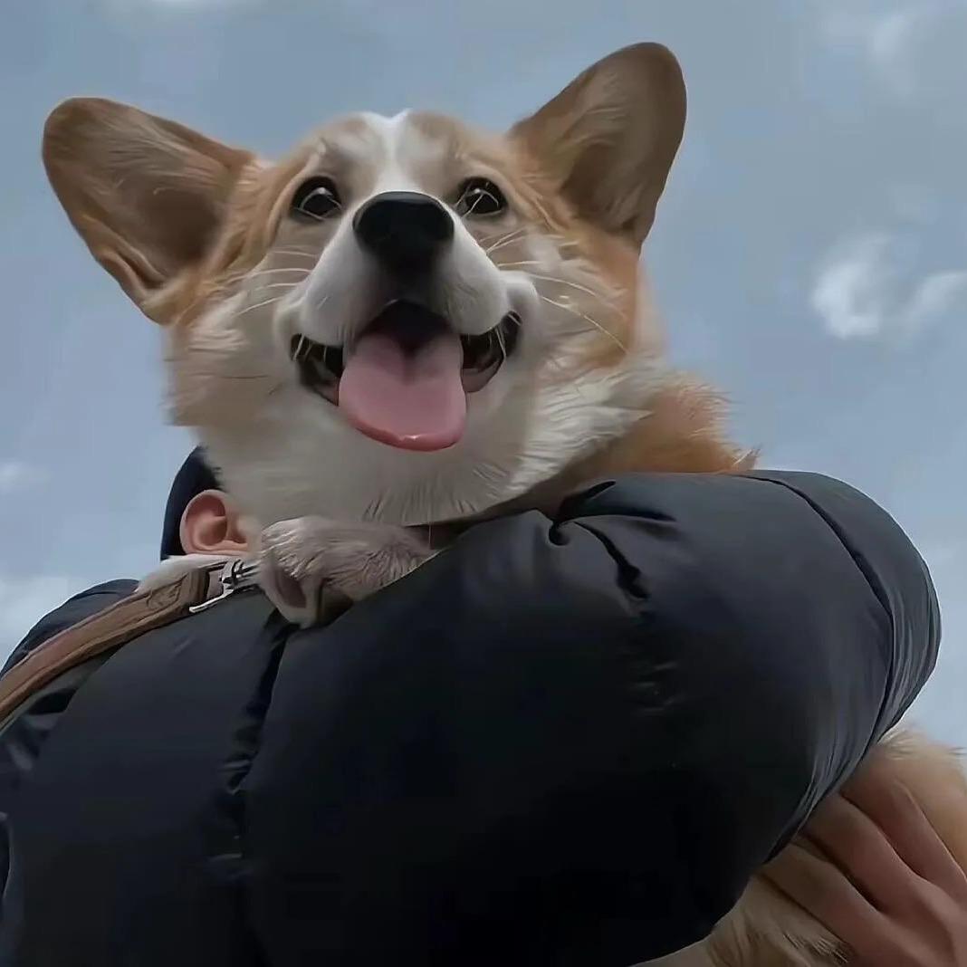 贰