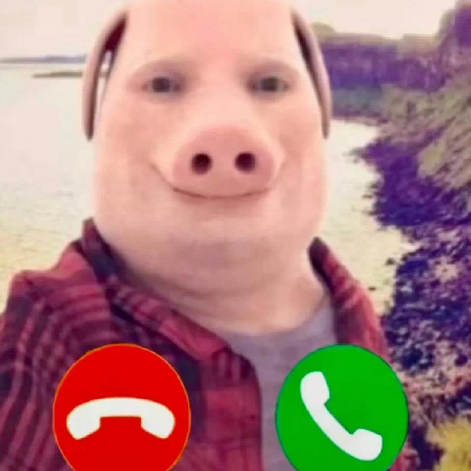 ㅤ㎡