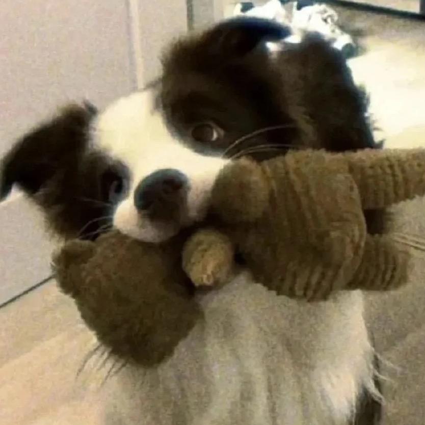 宜兴第一深情。