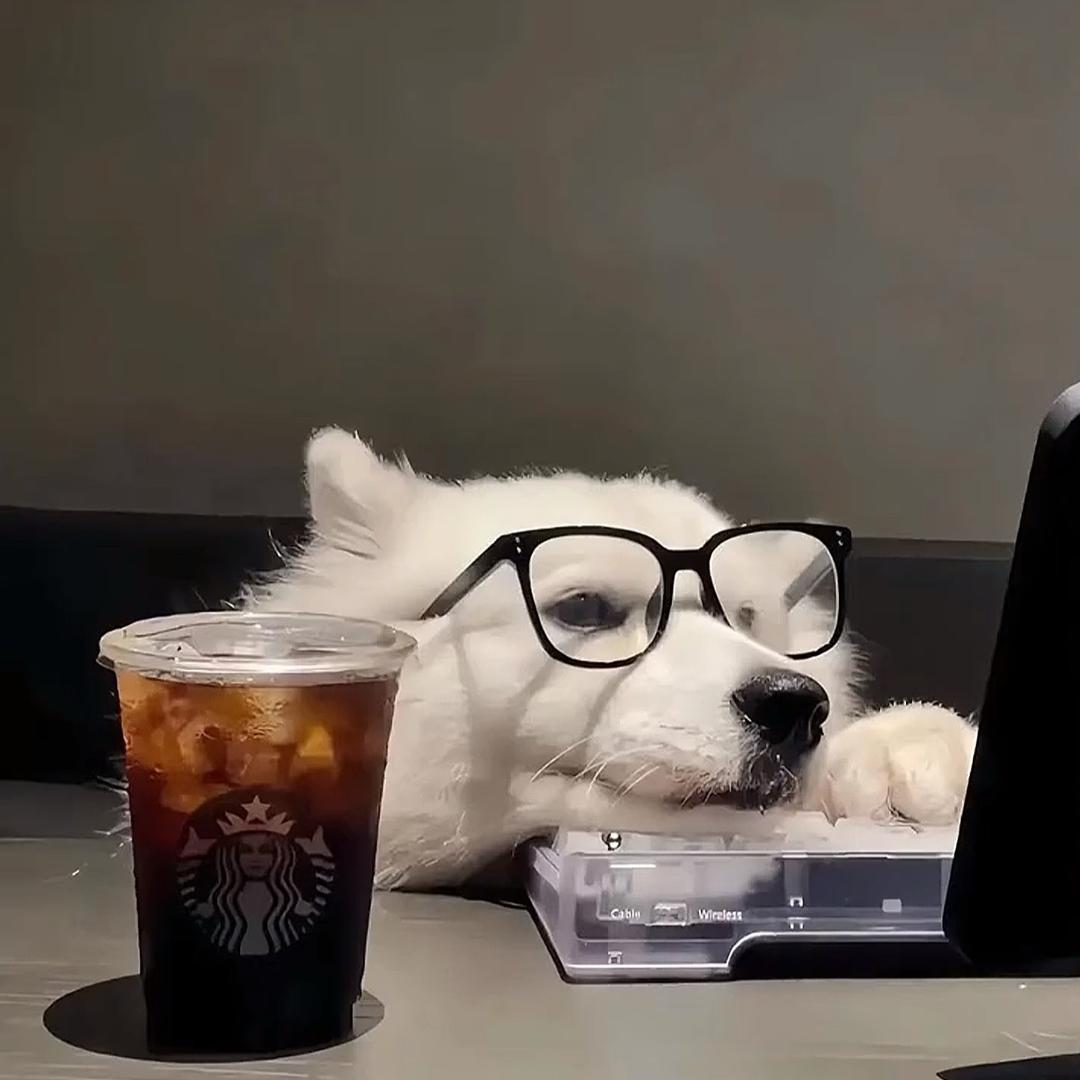 爱骑🏍️的小刘