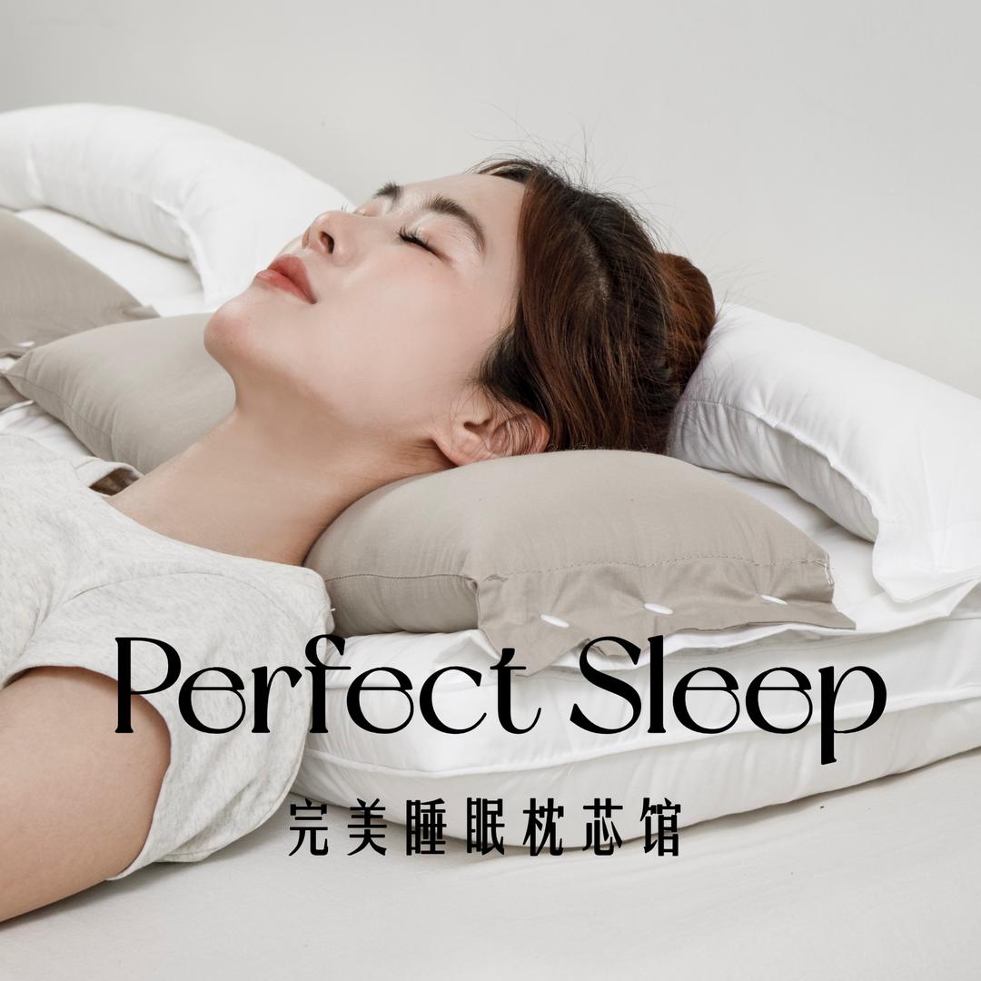 Perfect Sleep完美睡眠枕芯