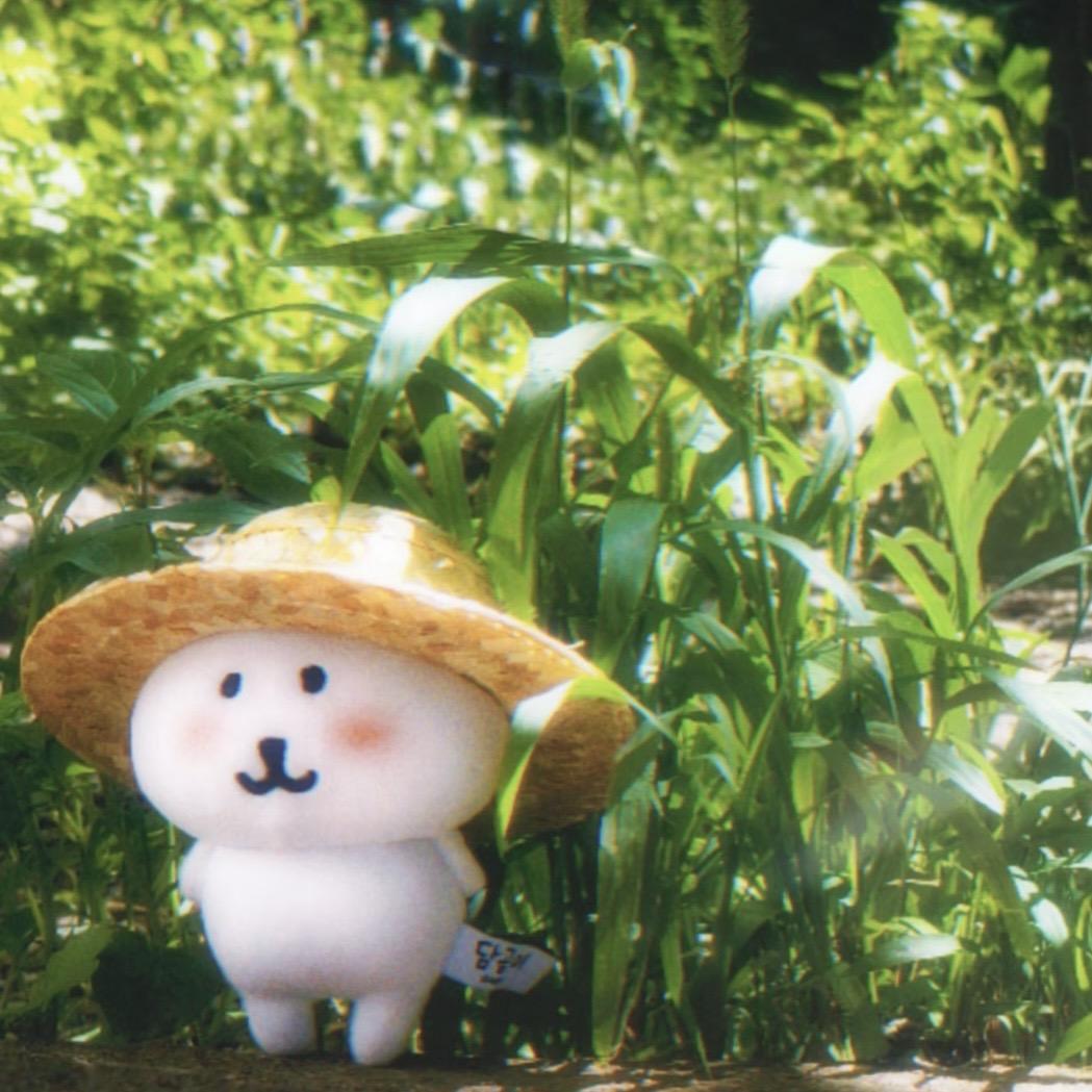 二饼和面