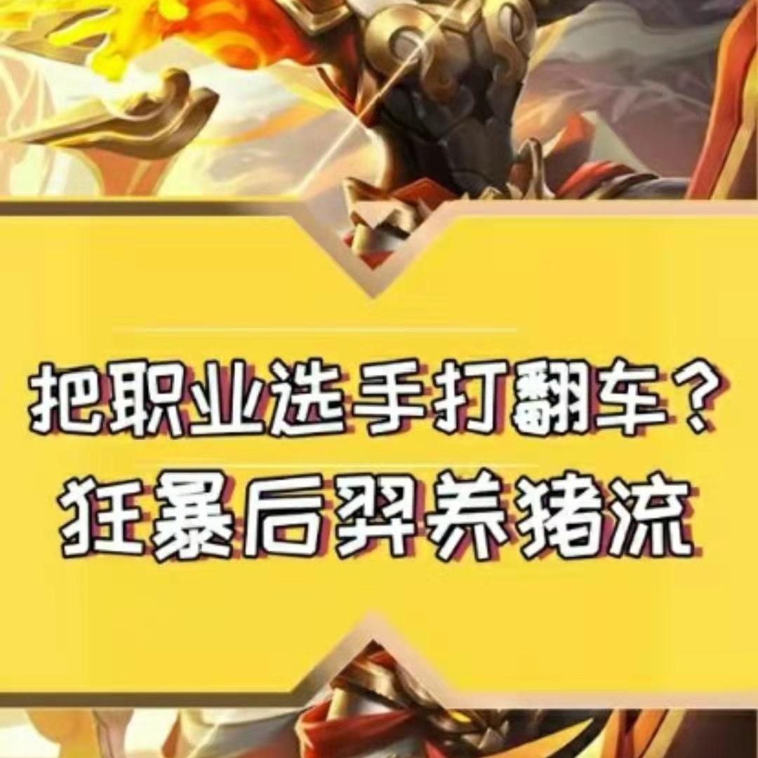 沐枫（狂暴养猪流）