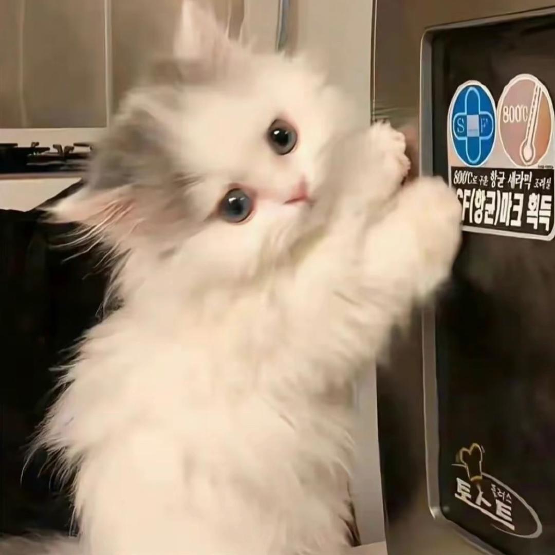 多喝凉茶