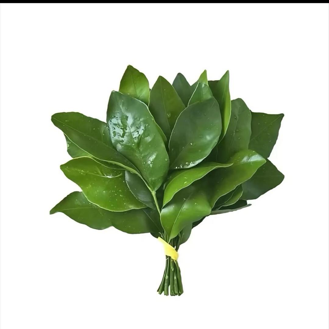 没有刘海～